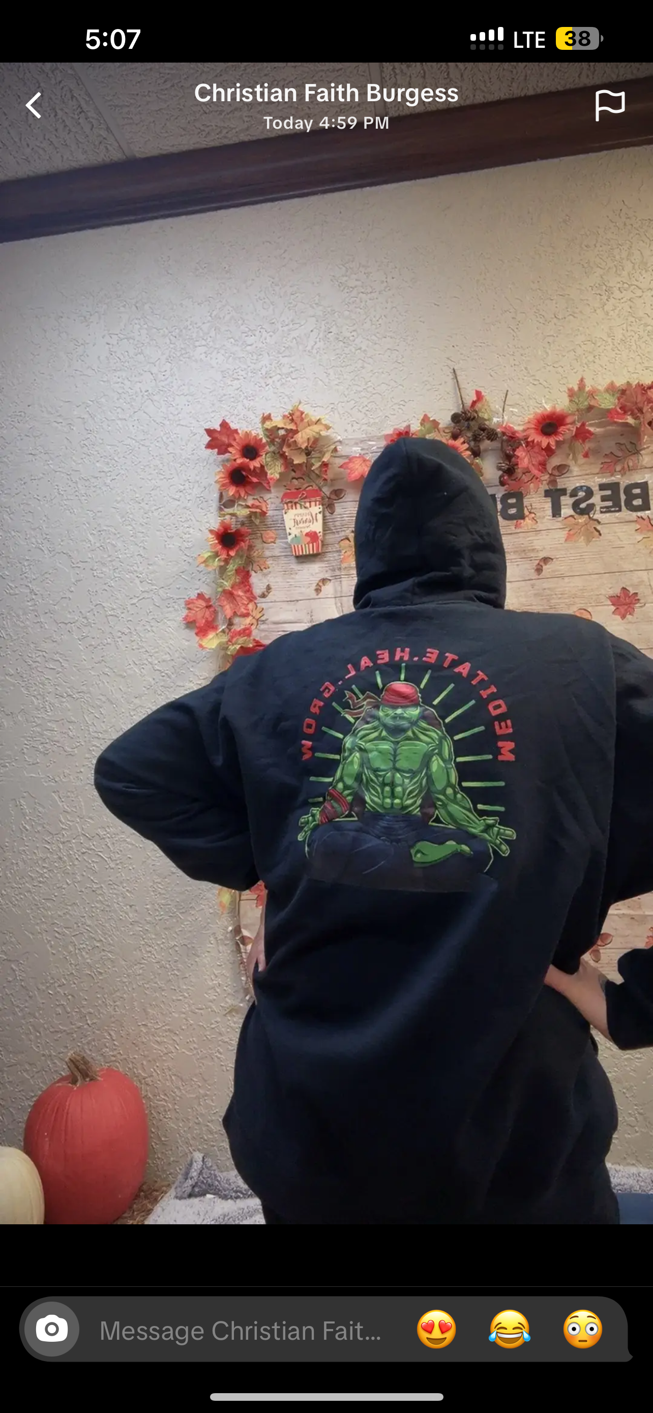 Turtle warrior hoodie
